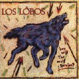 Los Lobos - How Will The Wolf Survive?