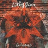 Living Colour - Collideoscope