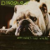 Dinosaur Jr. - Whatever's Cool With Me