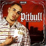 Pitbull - Welcome to the 305