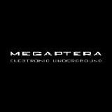 Megaptera - Electronic Underground