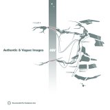 AIV - Authentic&Vague-Images