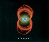 Pearl Jam - Binaural