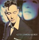 Aztec Camera - Birds