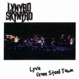 Lynyrd Skynyrd - Live From Steel Town