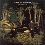 Echo & the Bunnymen - Evergreen