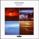 Peter Seiler - Flying Frames