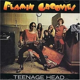 Flamin' Groovies, The - Teenage Head (Remastered)