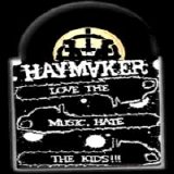 Haymaker - Love the Music, Hate the Kids 7"