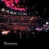 The Cinematic Orchestra - Live at the Royal Albert Hall