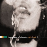 Ziggy Marley - Spirit of Music