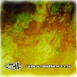 311 - Grassroots