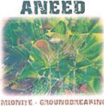 Midnite and Grounbreaking Collaboration - Aneed