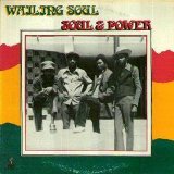 The Wailing Souls - Soul & Power