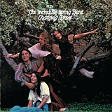 The Incredible String Band - Changing Horses