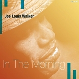 Joe Louis Walker - In the Morning