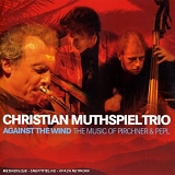 Christian Muthspiel Trio - Against the Wind