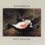 Dolorean - Not Exotic