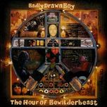 Badly Drawn Boy - The Hour Of Bewilderbeast