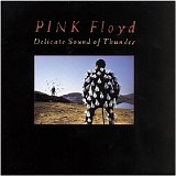 Pink Floyd - Delicate Sound of Thunder