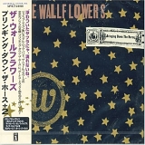 Wallflowers - Bringing Down The Horse