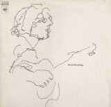 David Bromberg - David Bromberg