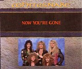 Whitesnake - Now You're Gone