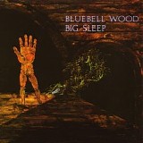 Big Sleep - Bluebell Wood