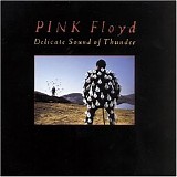 Pink Floyd - Delicate Sound of Thunder