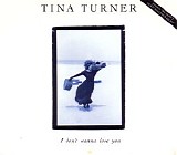 Tina Turner - I Don't Wanna Loose You