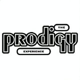 Prodigy - Experience