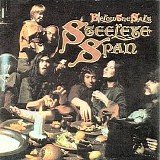 Steeleye Span - Below the Salt