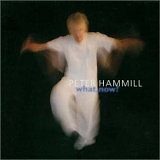 Hammill, Peter - What, Now