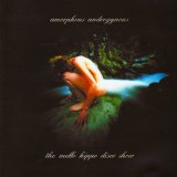 Amorphous Androgynous - The Mello Hippo Disco Show