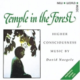 David Naegele - Temple In The Forrest