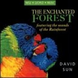 David Sun - The Enchanted Forest