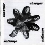 Vinegar - Vinegar