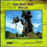 Jean-Marie Brice - Wild-Live