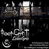 PeerGynt Lobogris - El Sotano Sellado BSO