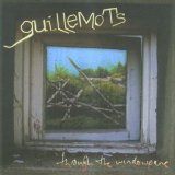 Guillemots - Through the Windowpane