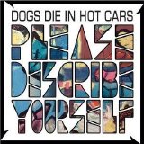 Dogs Die in Hot Cars - Please Describe Yourself