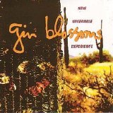 Gin Blossoms - New Miserable Experience