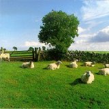 The KLF - Chill Out