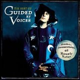 Guided by Voices - Human Amusements at Hourly Rates: The Best of Guided by Voices