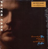 Peter Case - The Man with the Blue Post Modern Fragmented Neo-Traditionalist Guitar
