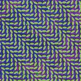 Animal Collective - Merriweather Post Pavilion