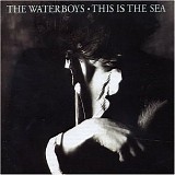 The Waterboys - This Is The Sea