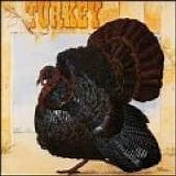 Wild Turkey - Turkey