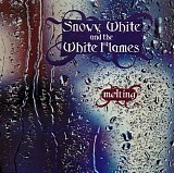 White, Snowy - Melting