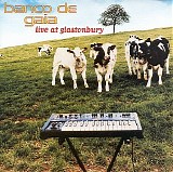 Banco de Gaia - Live At Glastonbury